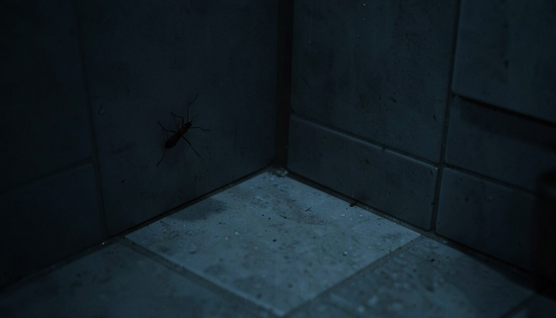 A dimly lit bathroom floor corner with a small dark insect silhouette, cool gray tiles, slightly humid atmosphere.